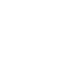 HC Standard Customize Icon HC Standard Customize Icon